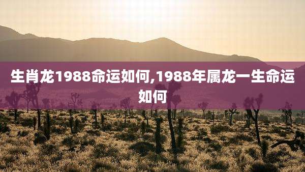 生肖龙1988命运如何,1988年属龙一生命运如何