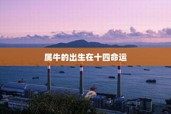 属牛的出生在十四命运