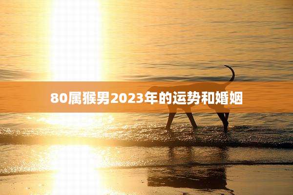 80属猴男2023年的运势和婚姻