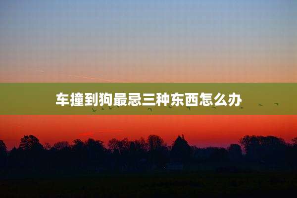 车撞到狗最忌三种东西怎么办