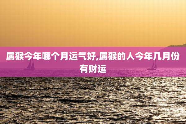 属猴今年哪个月运气好,属猴的人今年几月份有财运