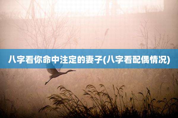 八字看你命中注定的妻子(八字看配偶情况)