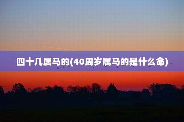 四十几属马的(40周岁属马的是什么命)