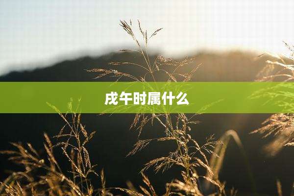 戌午时属什么