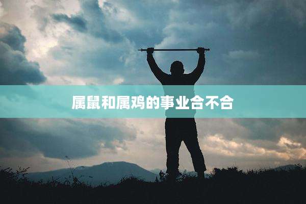 属鼠和属鸡的事业合不合
