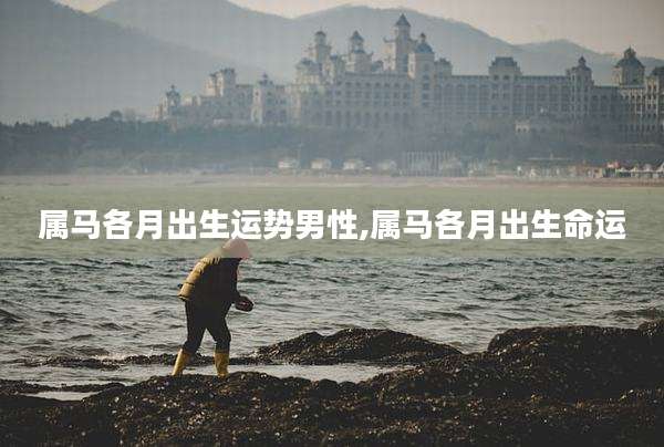 属马各月出生运势男性,属马各月出生命运