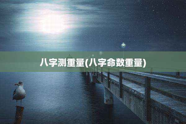 八字测重量(八字命数重量)