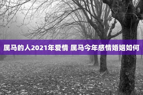 属马的人2021年爱情 属马今年感情婚姻如何