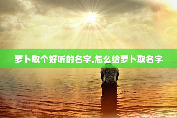 萝卜取个好听的名字,怎么给萝卜取名字