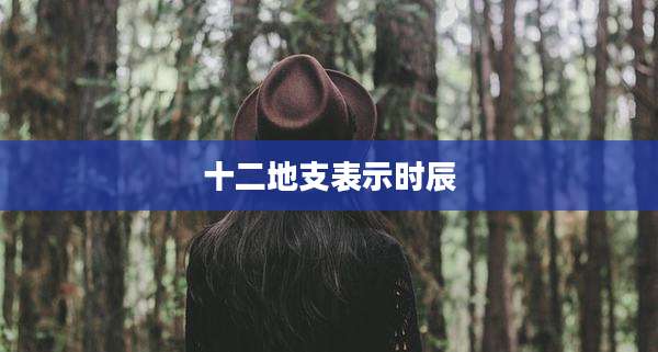 十二地支表示时辰