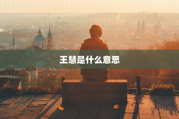 王慧是什么意思