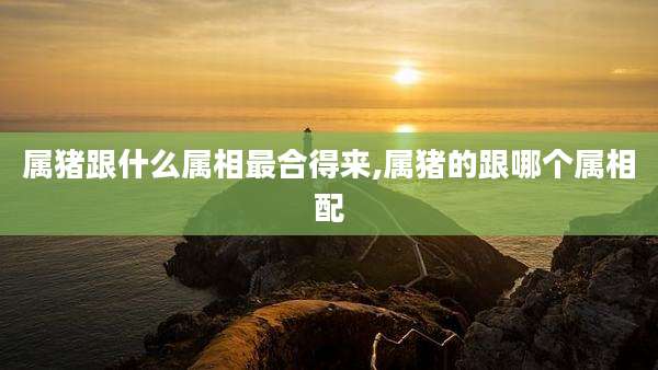 属猪跟什么属相最合得来,属猪的跟哪个属相配