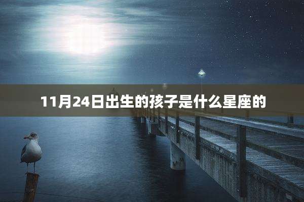11月24日出生的孩子是什么星座的