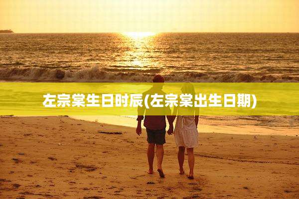 左宗棠生日时辰(左宗棠出生日期)