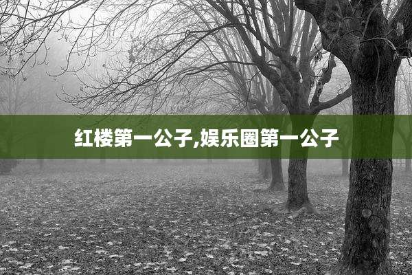 红楼第一公子,娱乐圈第一公子