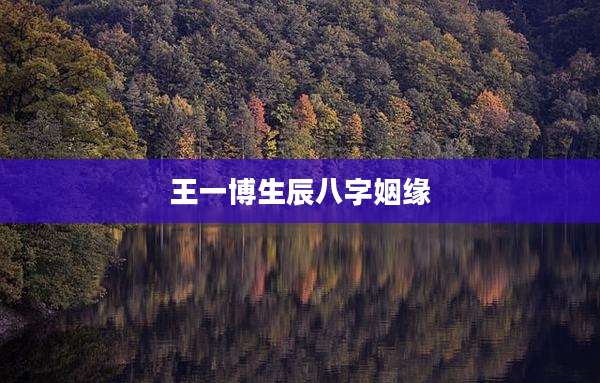 王一博生辰八字姻缘