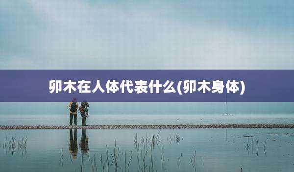 卯木在人体代表什么(卯木身体)