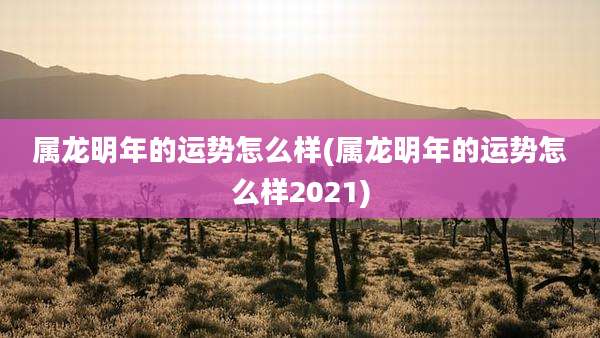 属龙明年的运势怎么样(属龙明年的运势怎么样2021)