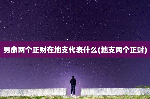 男命两个正财在地支代表什么(地支两个正财)