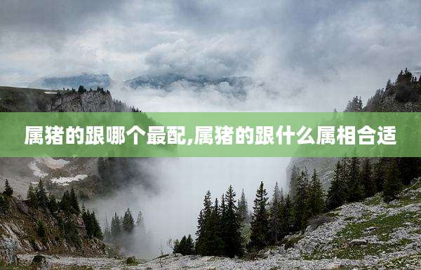 属猪的跟哪个最配,属猪的跟什么属相合适