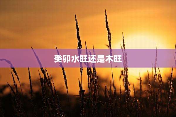 癸卯水旺还是木旺