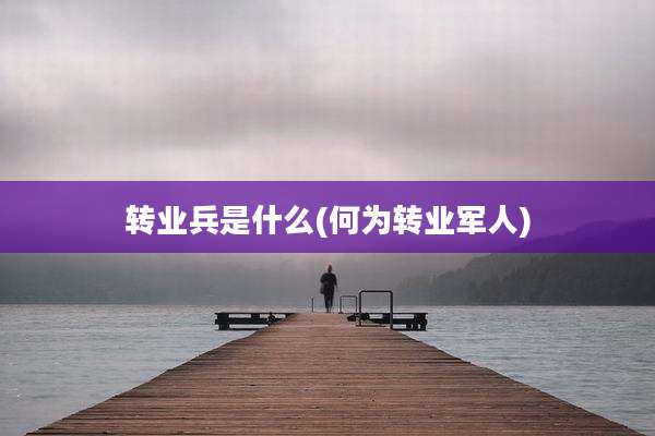 转业兵是什么(何为转业军人)