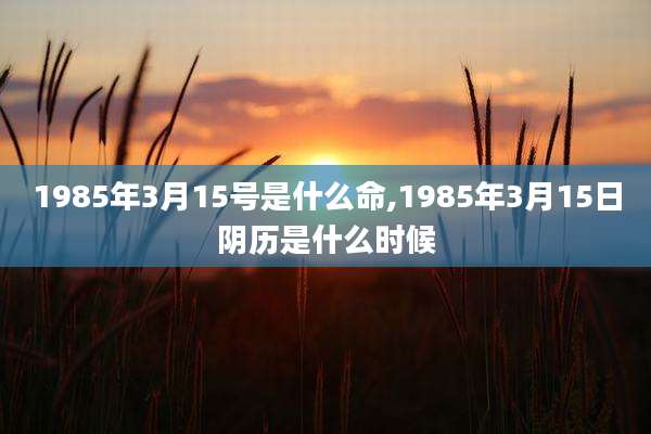 1985年3月15号是什么命,1985年3月15日阴历是什么时候