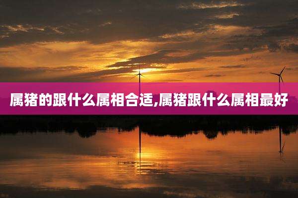 属猪的跟什么属相合适,属猪跟什么属相最好