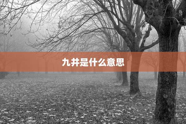 九井是什么意思