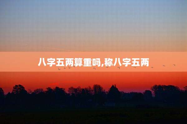 八字五两算重吗,称八字五两