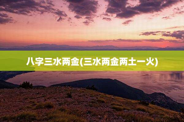 八字三水两金(三水两金两土一火)