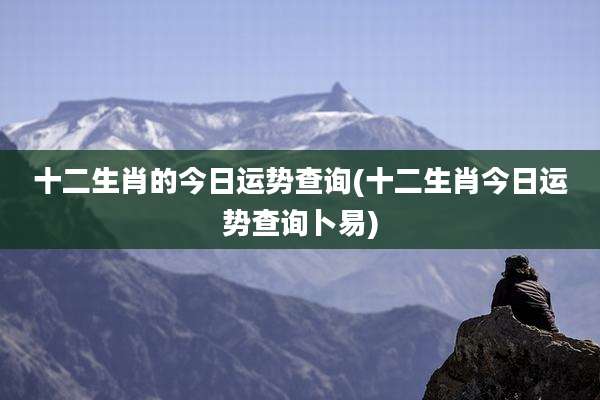 十二生肖的今日运势查询(十二生肖今日运势查询卜易)