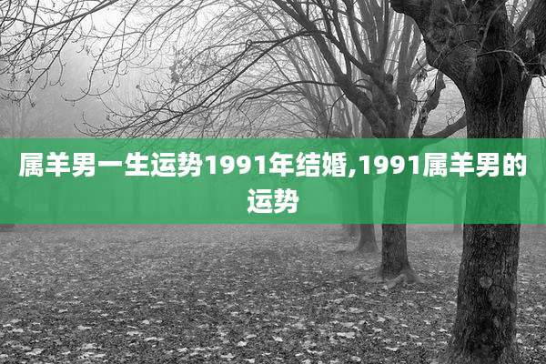 属羊男一生运势1991年结婚,1991属羊男的运势