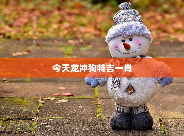 今天龙冲狗特吉一肖