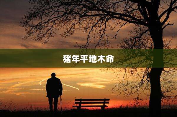 猪年平地木命