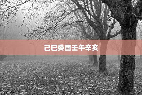 己巳癸酉壬午辛亥