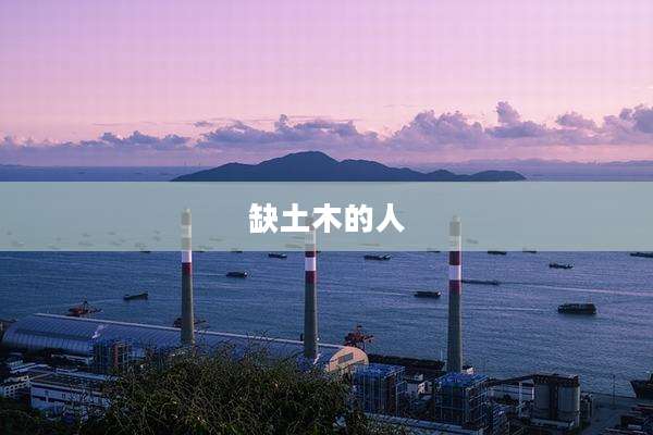 缺土木的人