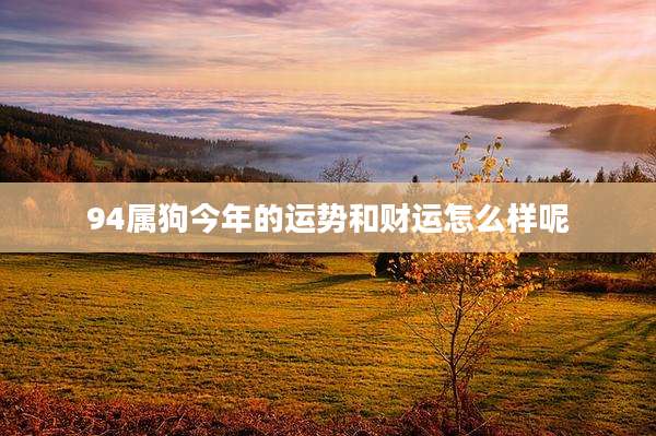94属狗今年的运势和财运怎么样呢