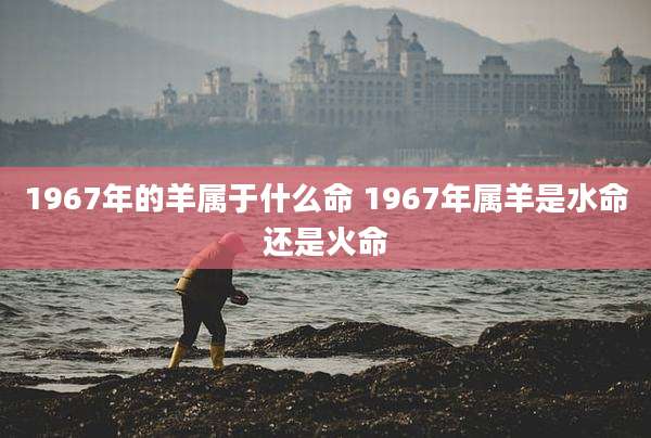 1967年的羊属于什么命 1967年属羊是水命还是火命