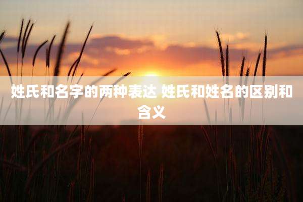 姓氏和名字的两种表达 姓氏和姓名的区别和含义
