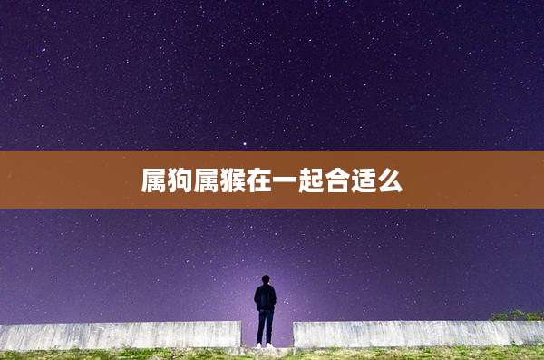 属狗属猴在一起合适么