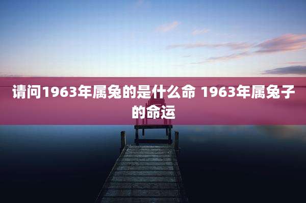 请问1963年属兔的是什么命 1963年属兔子的命运