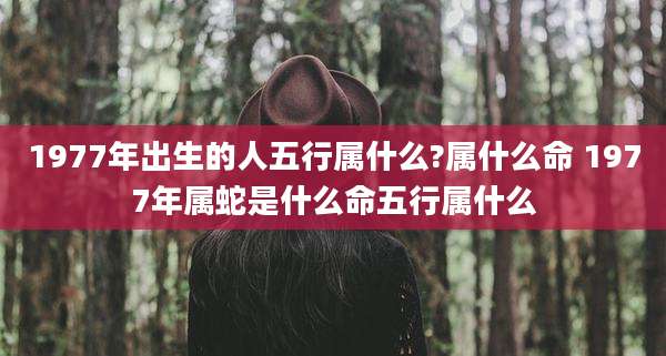 1977年出生的人五行属什么?属什么命 1977年属蛇是什么命五行属什么
