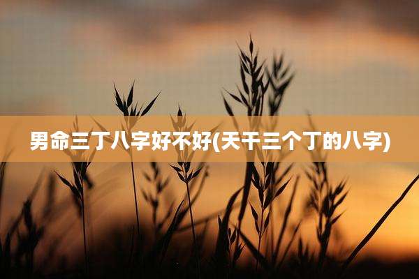 男命三丁八字好不好(天干三个丁的八字)