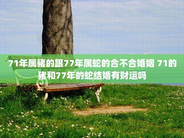 71年属猪的跟77年属蛇的合不合婚姻 71的猪和77年的蛇结婚有财运吗