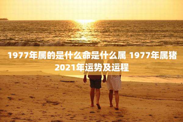 1977年属的是什么命是什么属 1977年属猪2021年运势及运程