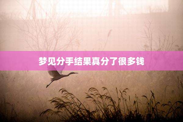 梦见分手结果真分了很多钱