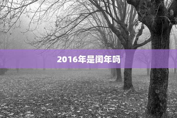 2016年是闰年吗