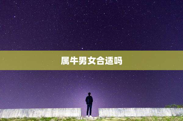 属牛男女合适吗