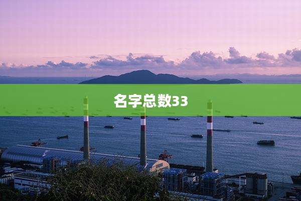 名字总数33